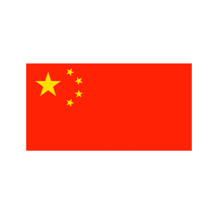 CHINAMAXXING