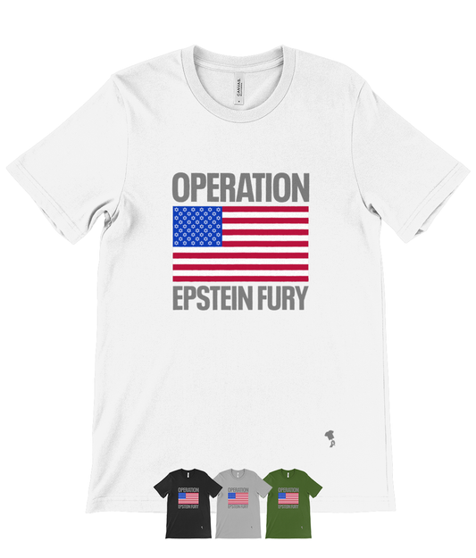 EPSTEIN FURY