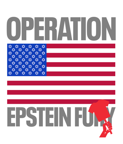 EPSTEIN FURY